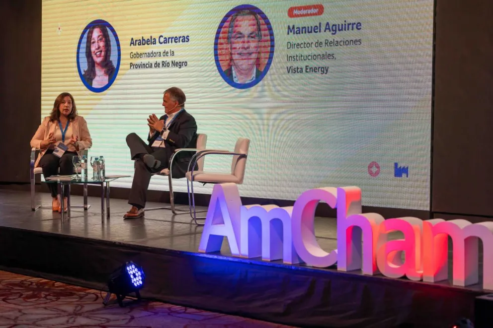 Carreras volvió a pedir por una ley de Hidrógeno Verde