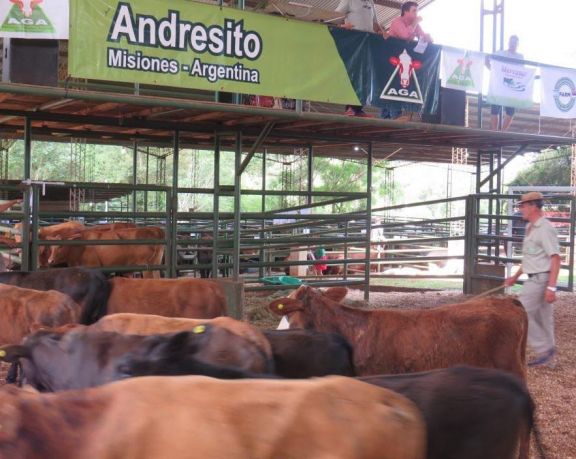 Todo listo para la XXVII Fiesta Provincial del Agricultor en Andresito