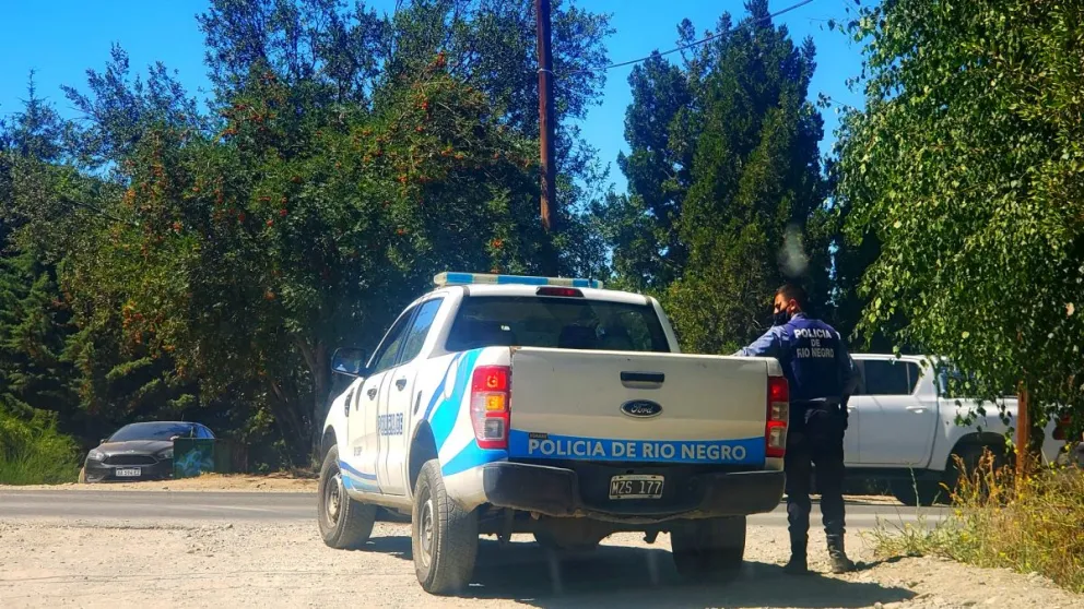 Ladrones sorprendidos cuando sustraían elementos de una cabaña en construcción