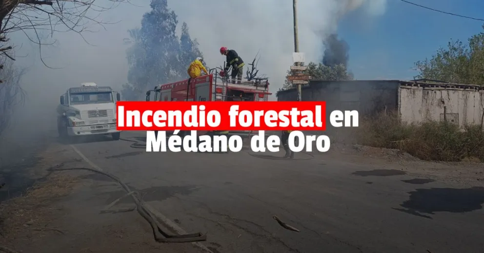 Un importante incendio se propagó en los pastizales de Médano de Oro