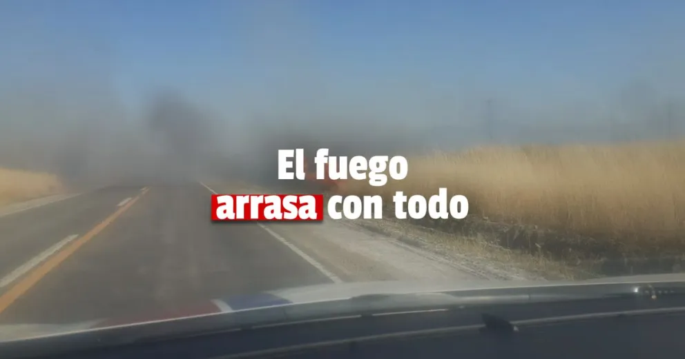 Niquivil: peligroso incendio de pastizales a la vera de la ruta