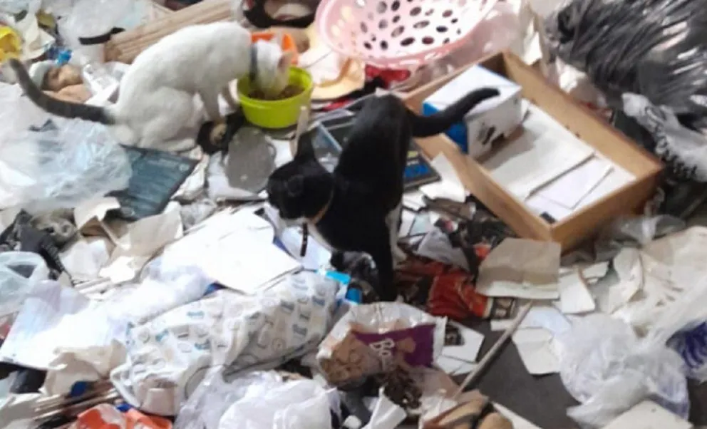 Nuevo allanamiento en la casa de Sabag Montiel y su novia por el ataque a Cristina Kirchner