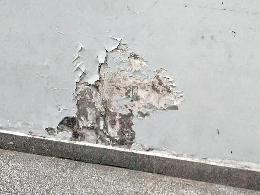 Continúan los problemas edilicios: por la lluvia suspendieron las clases en la Escuela Nº 746