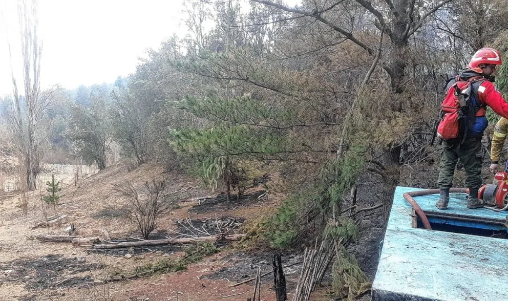 Peligroso “incendio interfaz” afectó amplio sector de Cerro Radal
