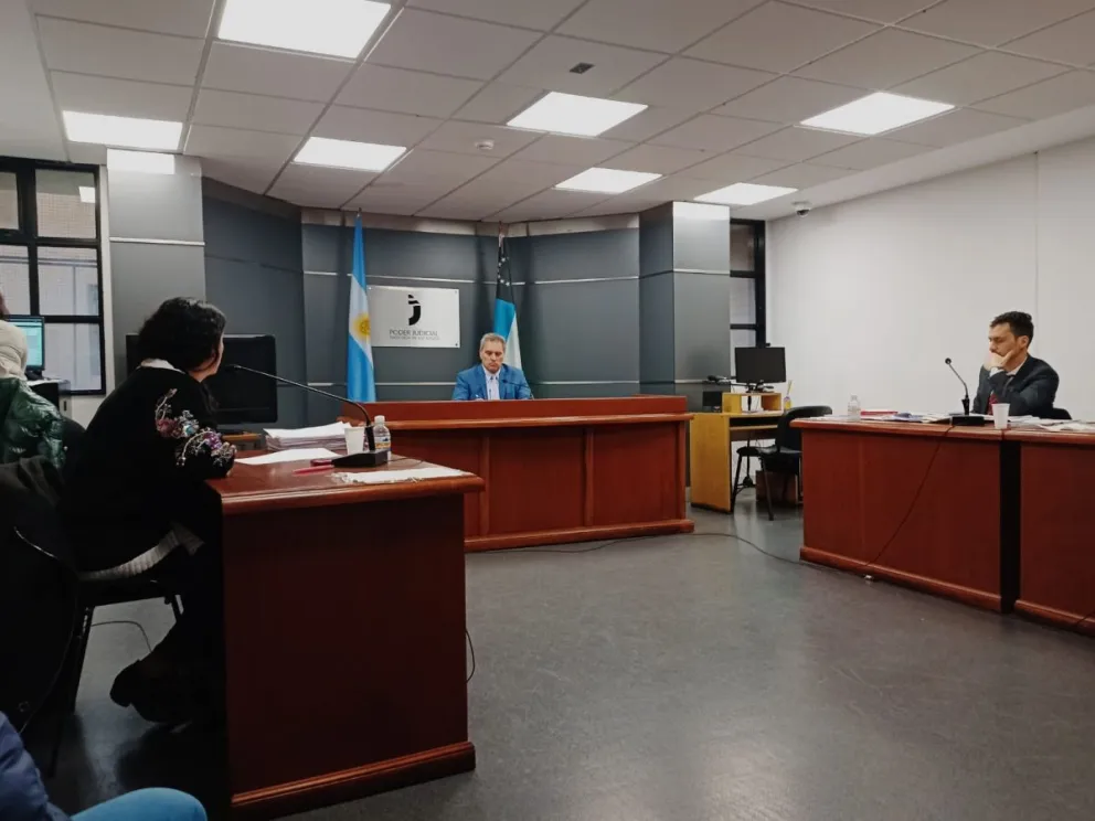 Condenaron a 7 años a una peligrosa ladrona y el juez ordenó que los medios no la mencionen