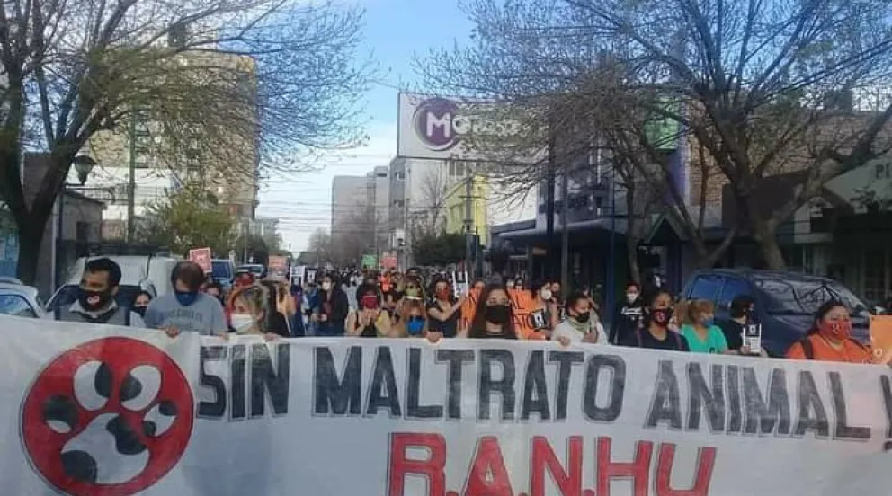 Cómo es el trabajo de Rescate Animal No Humano (RANHU) en General Roca