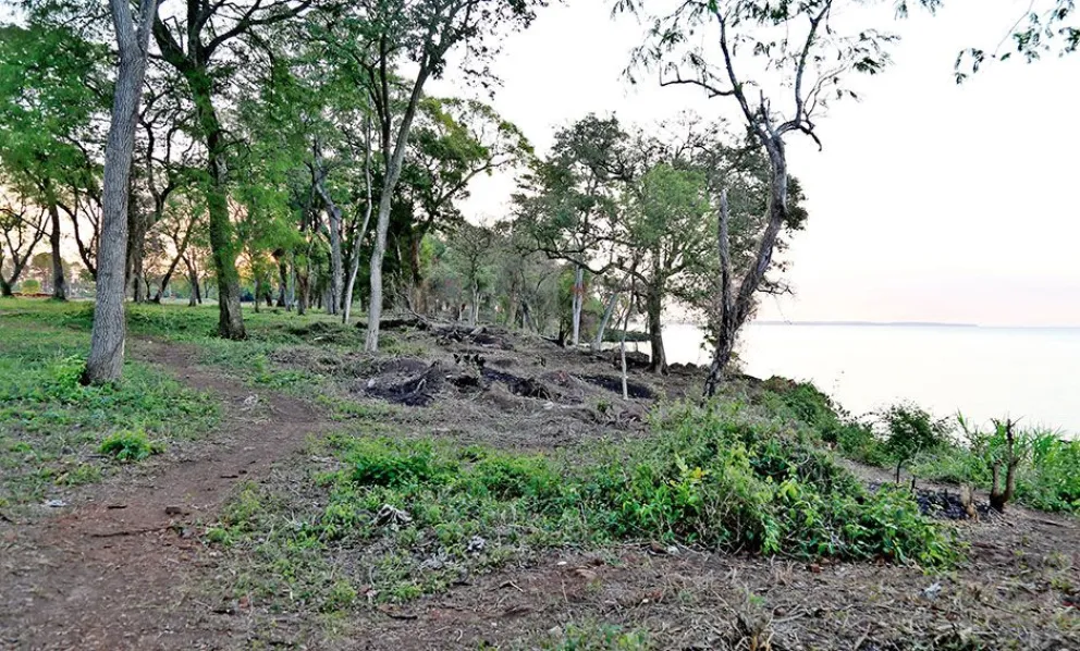 Villa Cabello: el Montecito se convirtió en una reserva natural urbana