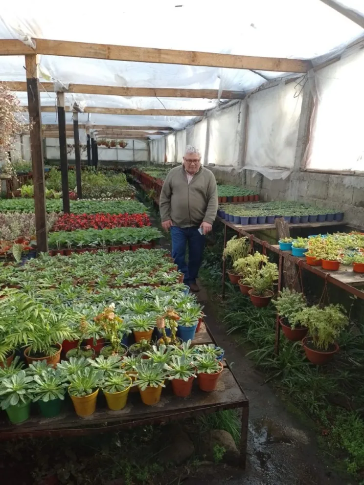 Provincia trabaja junto a Lago Puelo en la producción de forraje