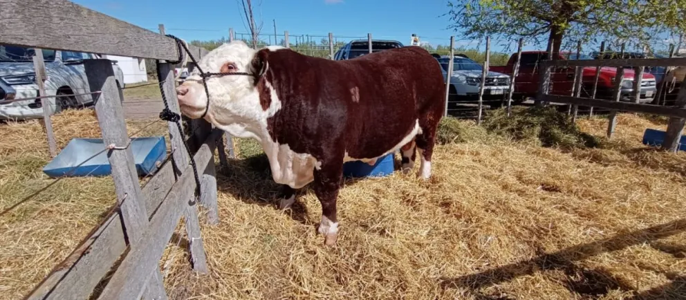 Fuerte cuestionamiento de los productores de la región.