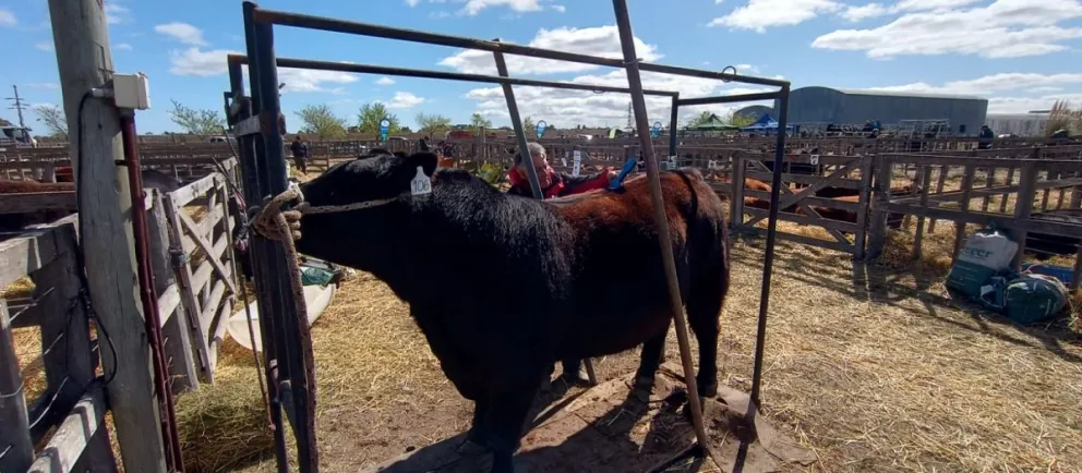 Expo de la Comarca: “La gente del campo siempre la espera para reencontrarse”