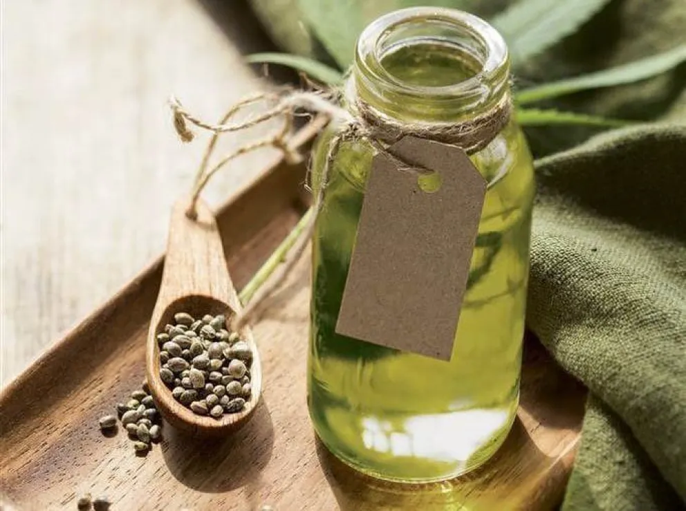 Río Negro avanza en la producción de cannabis medicinal