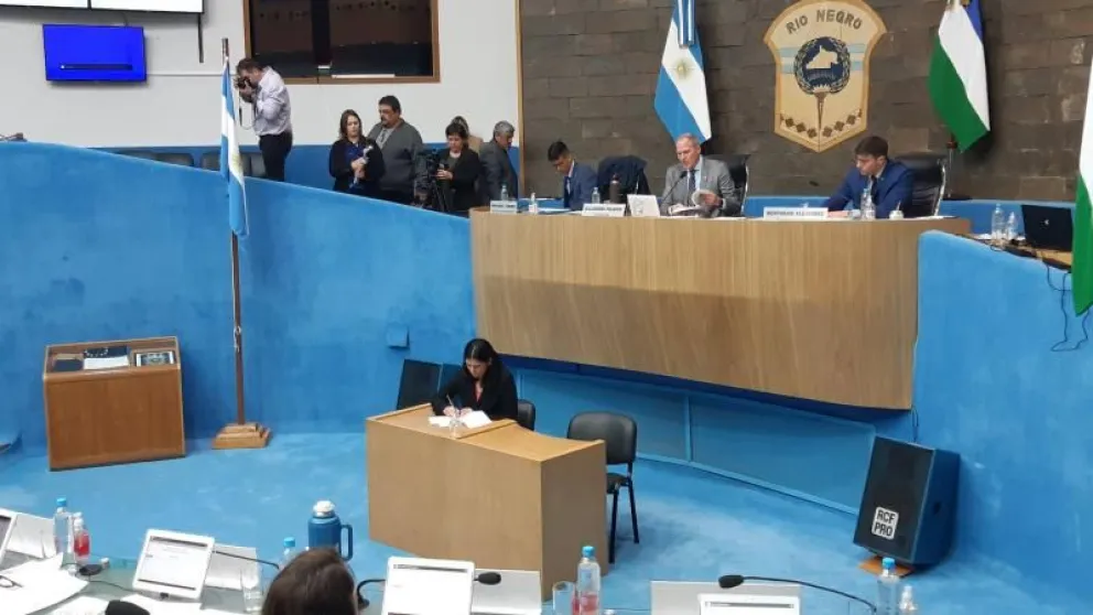 La Legislatura repudió el atentando contra la Vicepresidenta