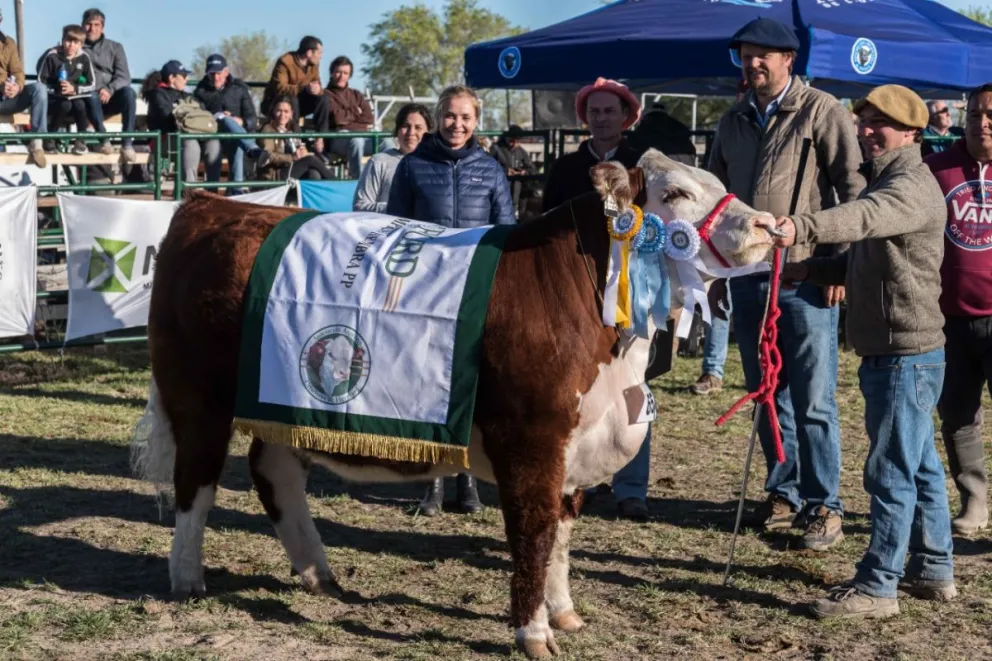 Con precios récord cerró la jornada de ventas en la 26° Exposición Rural de la Comarca  