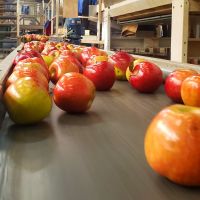 La empresa rionegrina Patagonian Fruit Trade emitió Obligaciones Negociables por USD 2,5 M