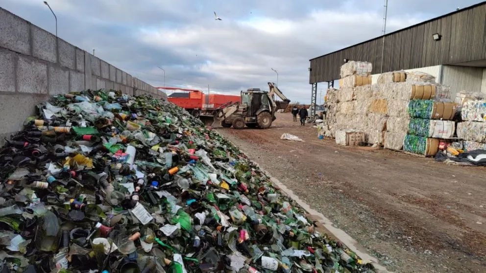 Conciencia ambiental: se enviaron para su recuperación más de 25 mil kilos de vidrio