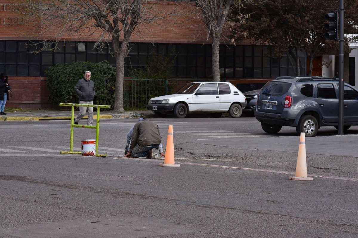 Los “Cajones azules” para la estiba de mercadería vedan el