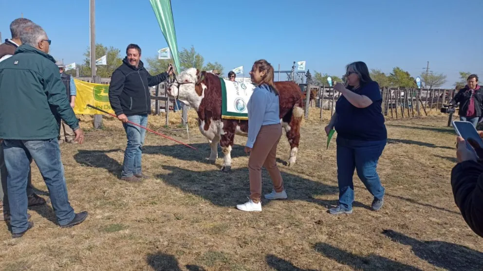 La producción ganadera local se muestra en la Rural, con críticas, agradecimientos y reclamos