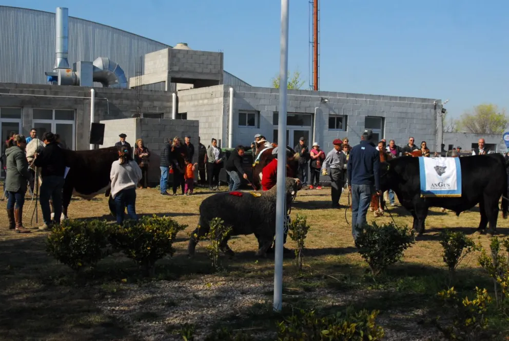 El campo vivió su fiesta con la 26° edición de la Exposición Rural de la Comarca 