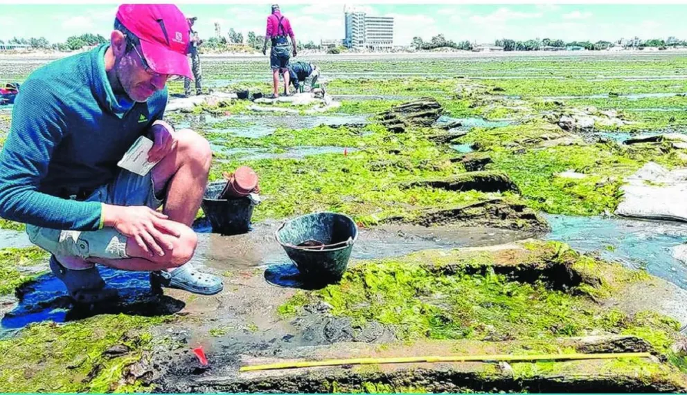 Determinan el origen y el año exacto de construcción de un barco que naufragó en la Patagonia hace más de ciento cincuenta años