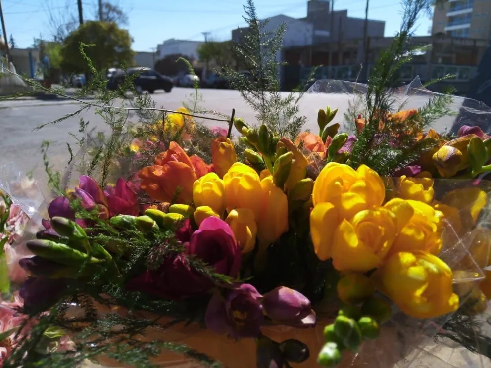 Fresias, un producto floral en el Día del Maestro y esperando la primavera