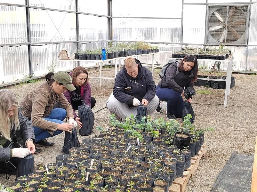 Continúan las capacitaciones para productores