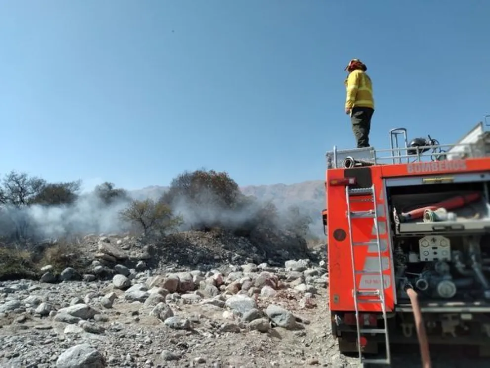 El domingo bomberos voluntarios combatieron incendios forestales