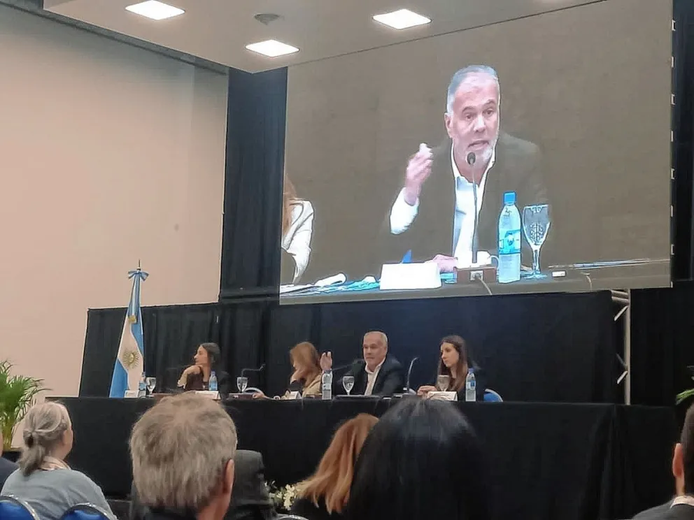 Chubut fue parte de las Jornadas Nacionales de Adopción
