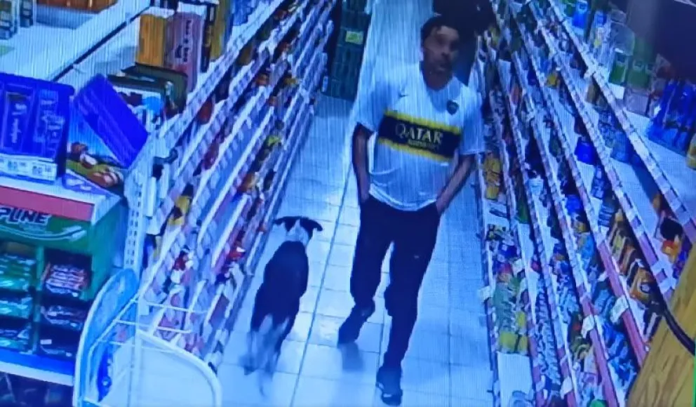 Las cámaras de un súper captaron a un ladrón llevándose vinos