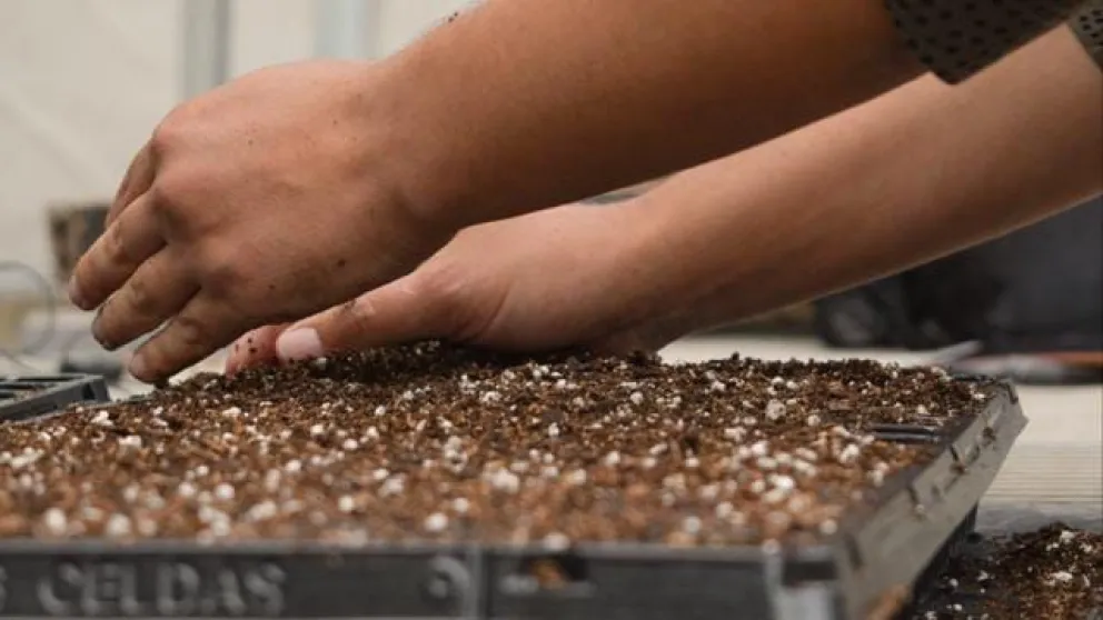 Familias de Bariloche participan del taller Plantas que Sanan