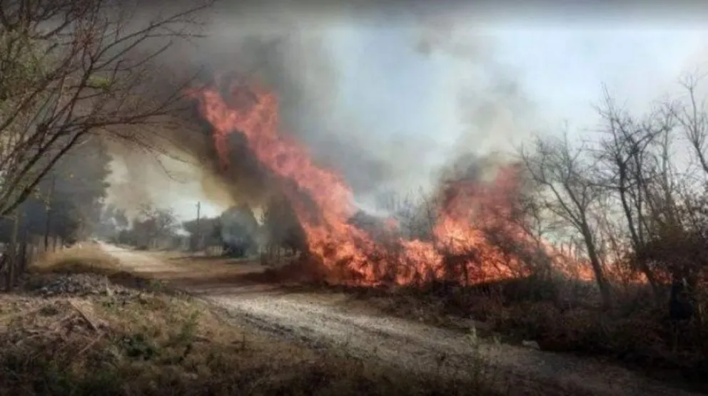 Los incendios en Orán siguen preocupando a las autoridades