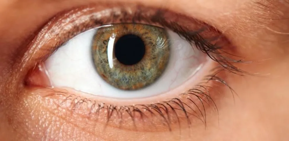 La fruta que ayuda a prevenir cataratas y visión borrosa, y seguro no lo sabías 