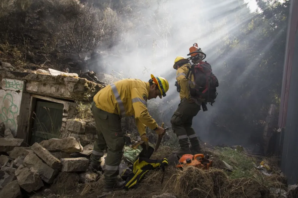 Comenzó a subir el riesgo de incendios forestales: Todos los consejos de prevención