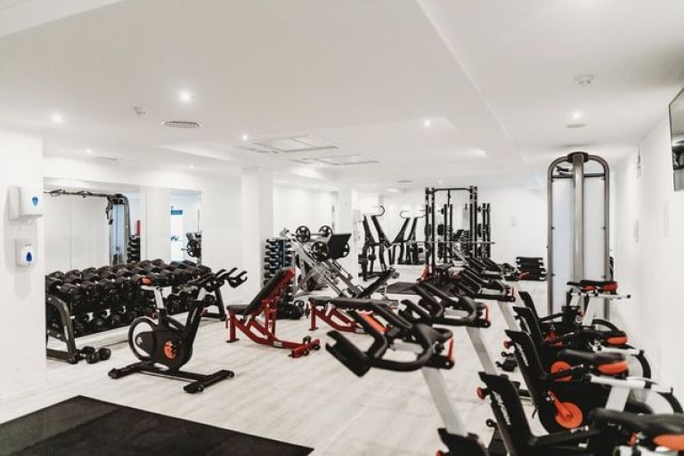 ¿Cómo es que los gimnasios de hoy en día logran tener un mejor nivel de organización?