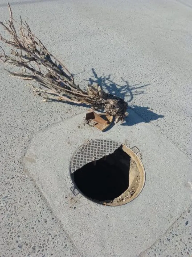 Otras 47 actas por desbordes de agua y cloaca fueron labradas a ARSA