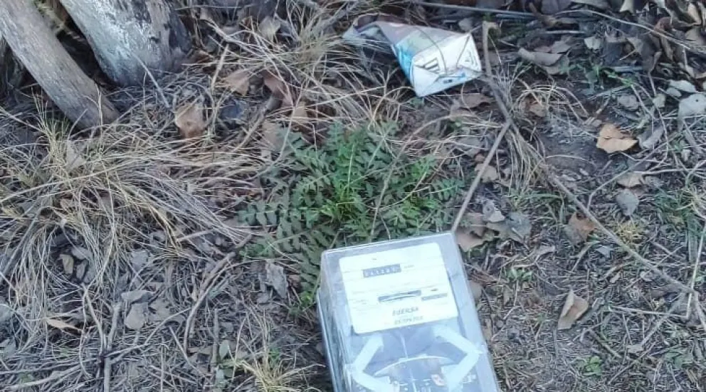 En lo que va de septiembre, se registró un robo eléctrico por día en el Alto Valle Este