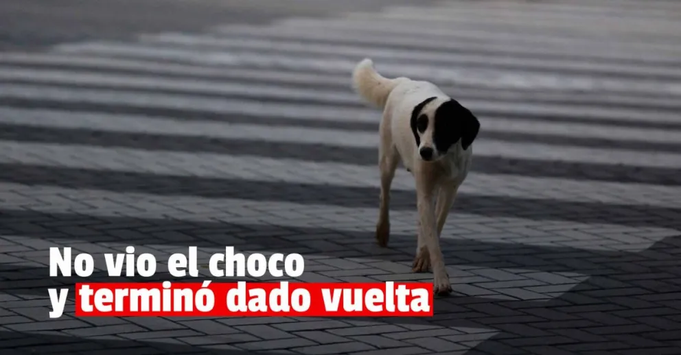Un penitenciario volcó con su auto tras esquivar un perro