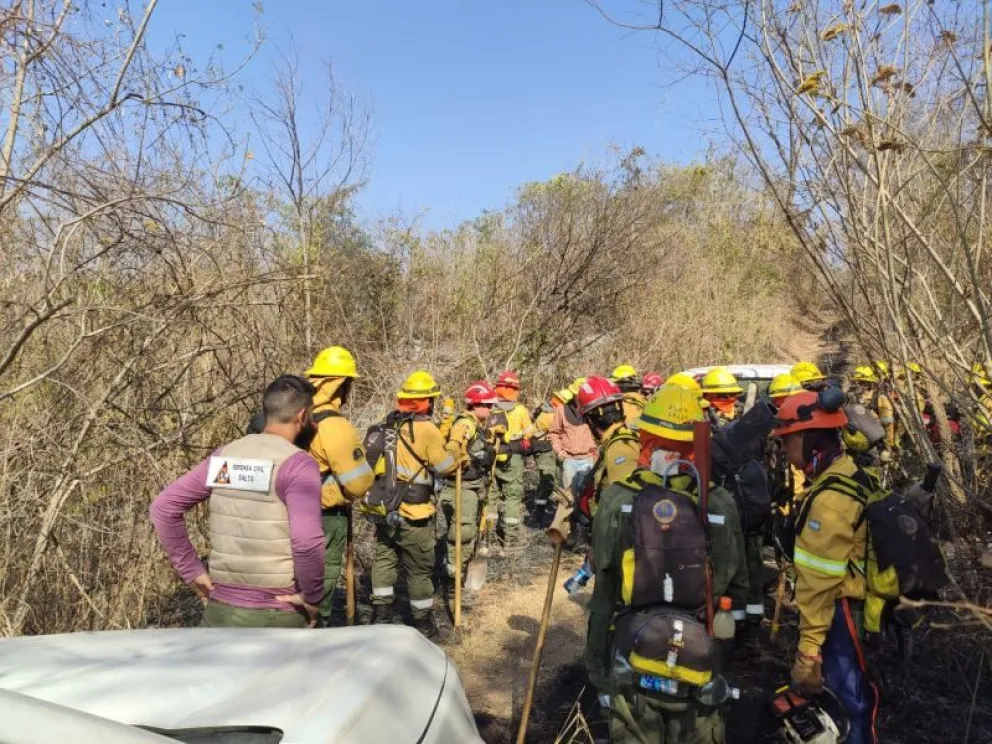 Finalmente, los incendios de Orán pudieron ser controlados