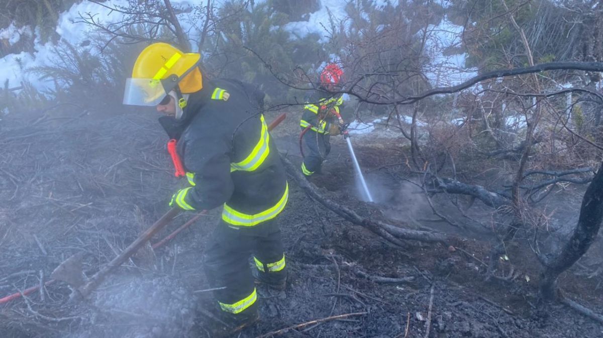 Brasas mal apagadas ocasionaron un incendio