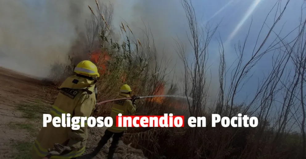 Incendio forestal: algunas casas corren peligro en Pocito
