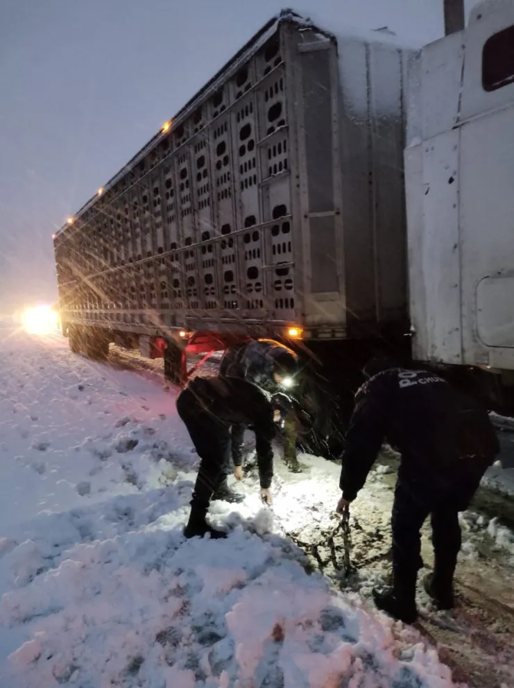 Por la nieve, un camión quedó encajado en Ruta 26