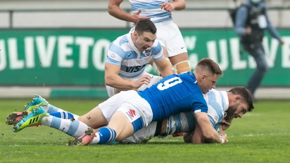 los pumas