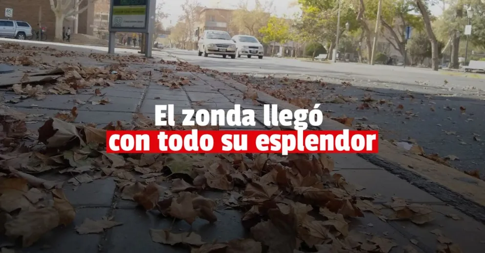 El zonda llegó a la Ciudad con fuertes ráfagas y calor