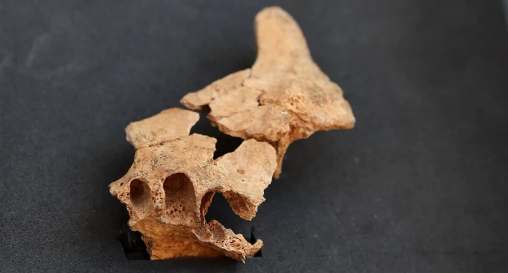 Hallazgo histórico: descubren restos fósiles del que sería el humano más antiguo de Europa