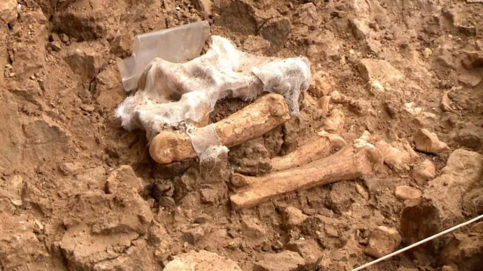 Realizarán impresiones 3D de elementos originales del museo para conservarlos 