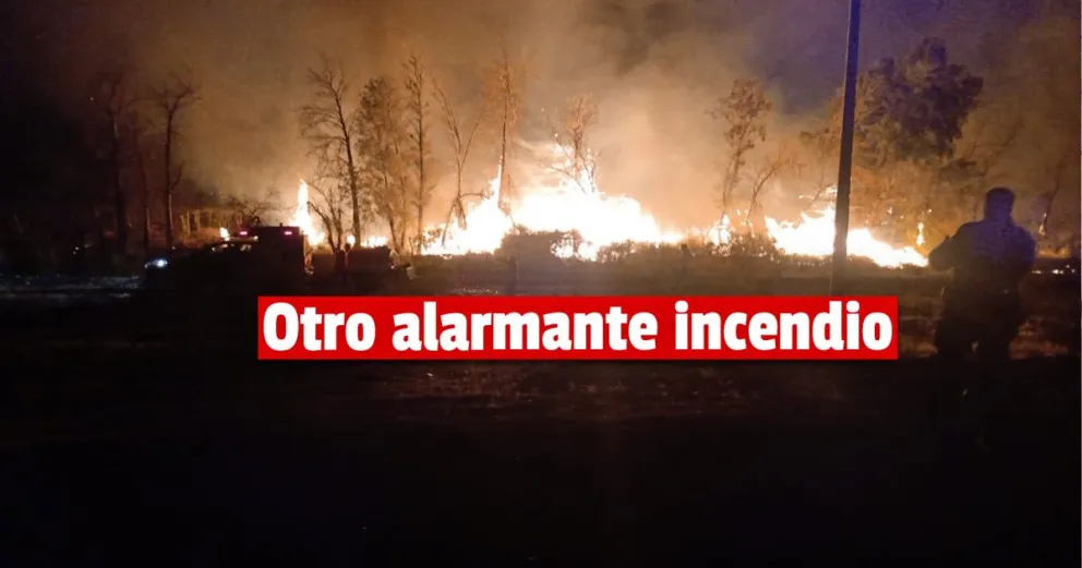 Personal de bomberos tuvo que sofocar un incendio en la Ruta Interlagos