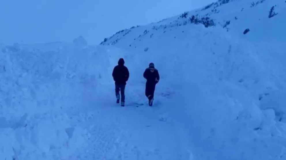 Registran bardones de diez metros de nieve en el paso Pino Hachado 
