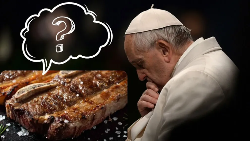 El Papa llamó a comer menos carne para ayudar al medio ambiente