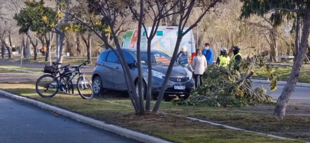 Un automovilista se descompensó y chocó en la costanera de Viedma