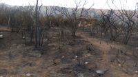 El Ministerio Público investiga los incendios de Carpintería y El Trapiche