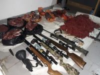 Detenidos: Traficaban carne de potro, guanaco y Ñandú procesada y picada